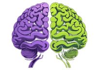 Neurodivergence Revived CIC logo